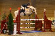 Potranca Silla Francés En venta 2025 Palomino por Cremell aux lays