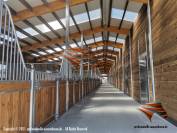 Paardenstal kopen & Buitenstal, Paddockbox, Schuilstal