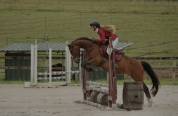 Ponette C a VENDRE uniquement 