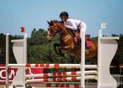 Ponette C a VENDRE uniquement 