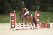 Ponette C a VENDRE uniquement 