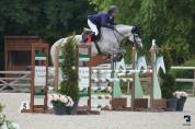 Cheval hongre 6 ans