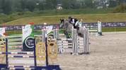 Cheval hongre 6 ans