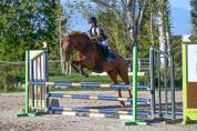 Poulinière ou sport