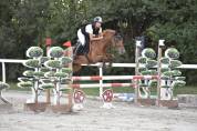 Poulinière ou sport