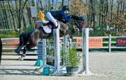 Poney d’As à vendre 