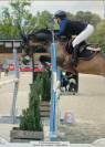 Poney d’As à vendre 