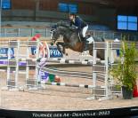 Poney d’As à vendre 