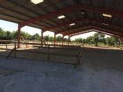 Pension chevaux 