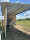 Pension 5⭐️ boxe/ paddock et pré - 42110 Poncins