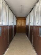 Pension 5⭐️ boxe/ paddock et pré - 42110 Poncins