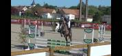 Ponette sport de 4 ans 