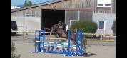 Ponette sport de 4 ans 