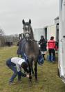 Ponette sport de 4 ans 
