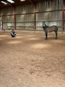 Ponette sport de 4 ans 
