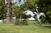 Gelding Connemara For sale 2014 Grey