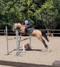 Poney de sport 4ans 