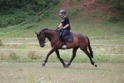 Jument 6 ans SF CSO CCE 