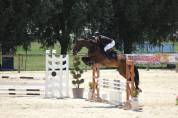 Jument 6 ans SF CSO CCE 