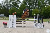 Hongre de 15 ans classé amateur élite 