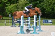 Hongre de 15 ans classé amateur élite 