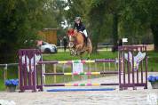 Hongre de 15 ans classé amateur élite 