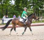 À vendre poney de sport 