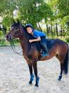 À vendre poney de sport 