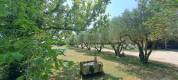 30 - BEAUCAIRE  BELLE  PROPRIETE EQUESTRE - 290 m² - 