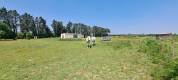 30 - BEAUCAIRE  BELLE  PROPRIETE EQUESTRE - 290 m² - 