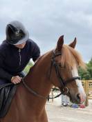 Poney à vendre 