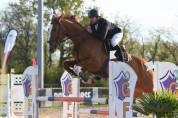 Gentil selle Français d’obstacle amateur 