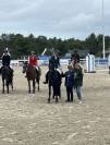 Poney de sport Welsh