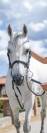 Pony sella inglese - completo- 14 anni 