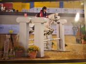 Pony sella inglese - completo- 14 anni 