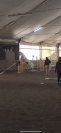 Pony sella inglese - completo- 14 anni 