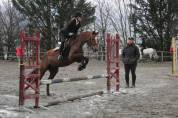Ponette chic et sympa