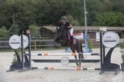 Hongre OC 13 ans, polyvalent, CSO, loisirs
