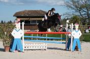 Poney de sport a vendre