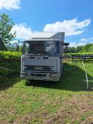 Camion iveco