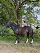 Ponette de 10 ans 