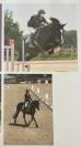 Ponette de 10 ans 