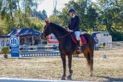 Hongre de 13 ans top cheval Amateur 