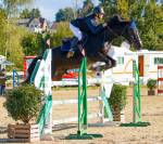 Hongre de 13 ans top cheval Amateur 