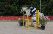 Poney D 