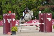 Poney D 