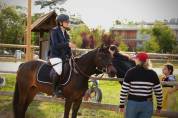 Ponette à vendre 