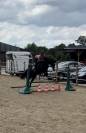 Cheval à prendre en DP ou pension complète 