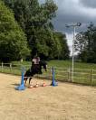 Cheval à prendre en DP ou pension complète 