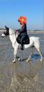 Poney D 